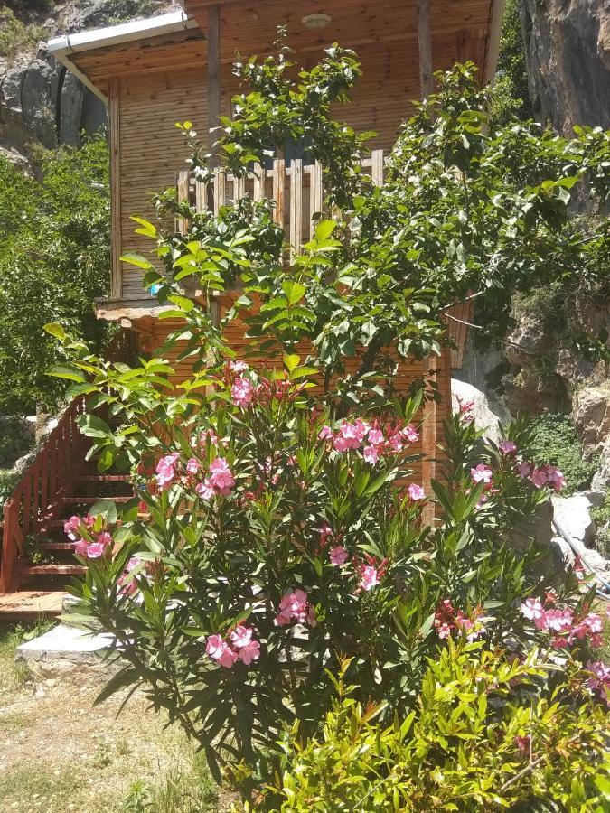 Hotel Kapuzbasi Selalesi Bastuerk Dinlenme Tesisleri à Büyükçakır Extérieur photo